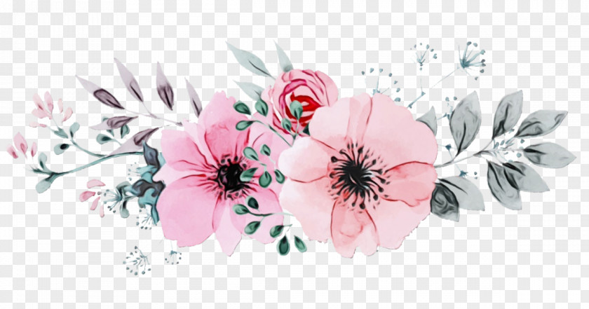 Anemone Cut Flowers Pink Flower Petal Plant Blossom PNG