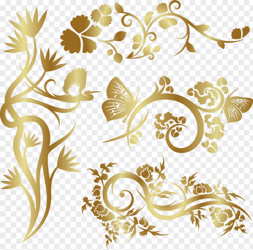 Decorative Photography Clip Art PNG