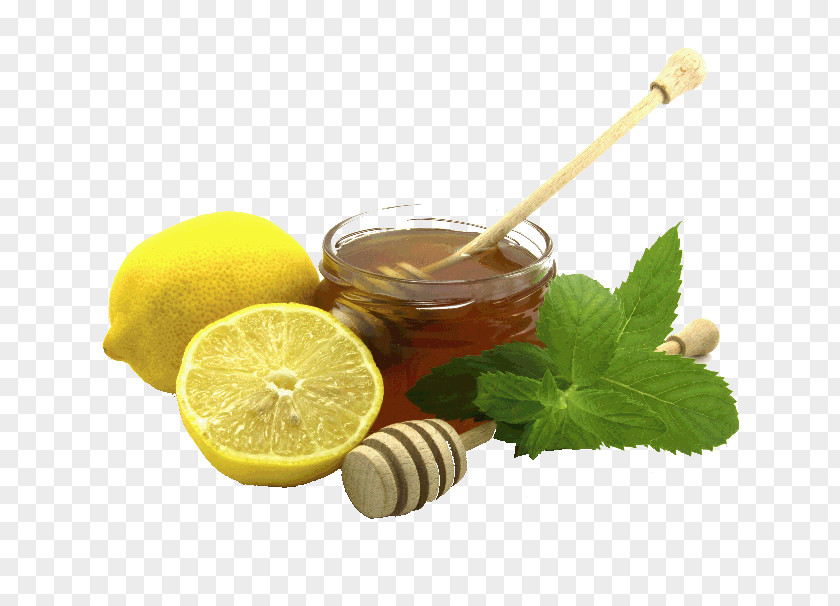 Lemon Elderflower Cordial Juice Cider Liquorice PNG