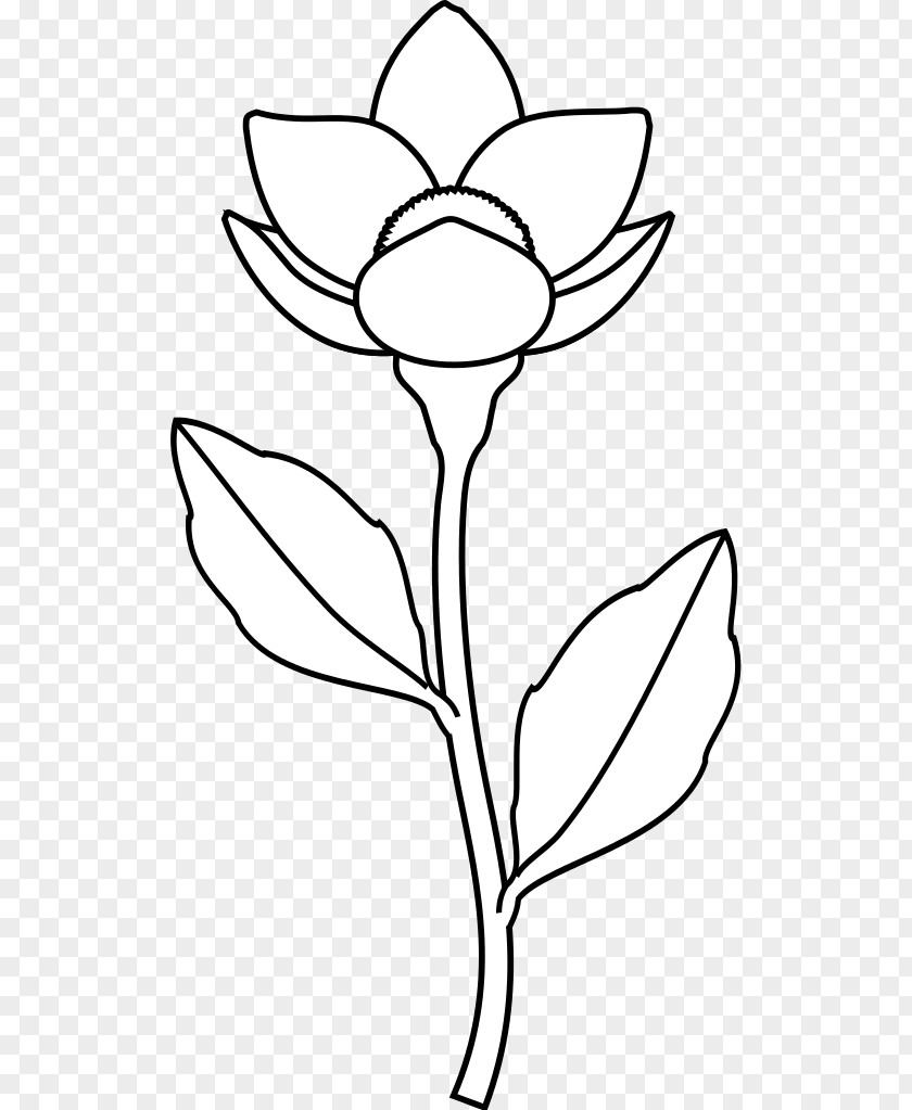 MONE Floral Design Cut Flowers Plant Stem Leaf /m/02csf PNG