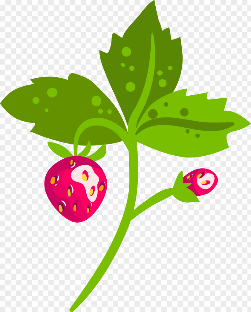 Beautiful Flower Fruit Clip Art Strawberry Image PNG