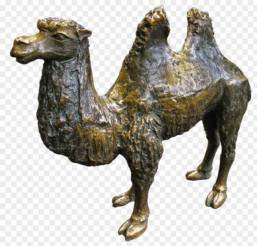 Camel Bronze Sculpture Dromedary Statue PNG
