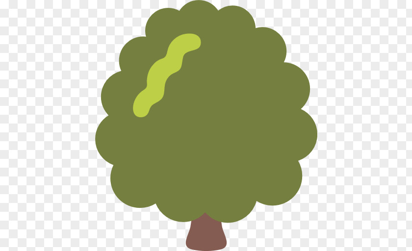 Deciduous Specimens Tree Evergreen Sticker Leaf PNG