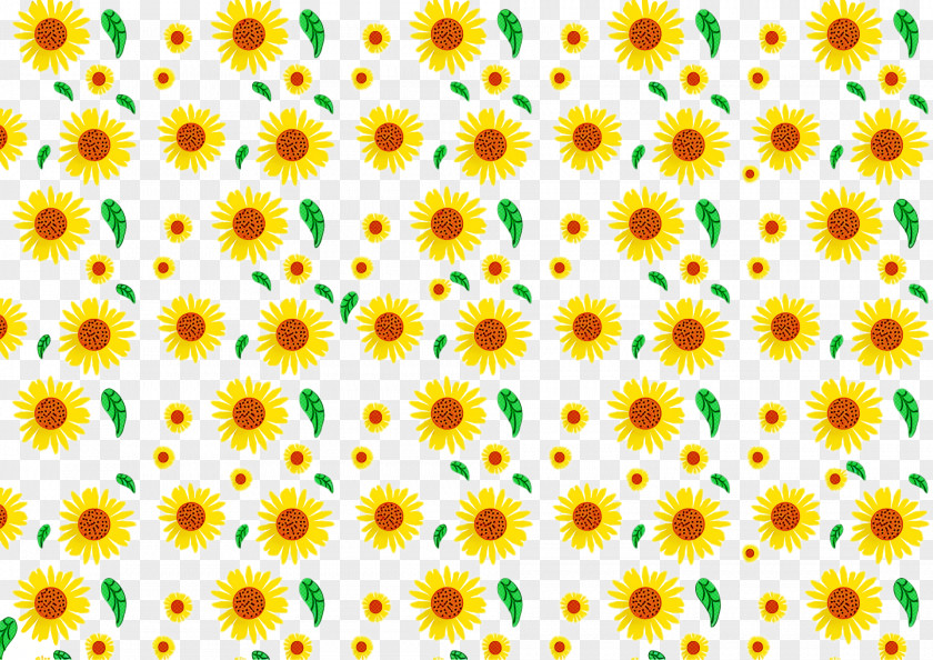 Floral Design PNG