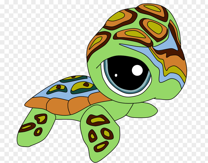 Kitten Sea Turtle Tortoise Rainbow Dash Clip Art PNG