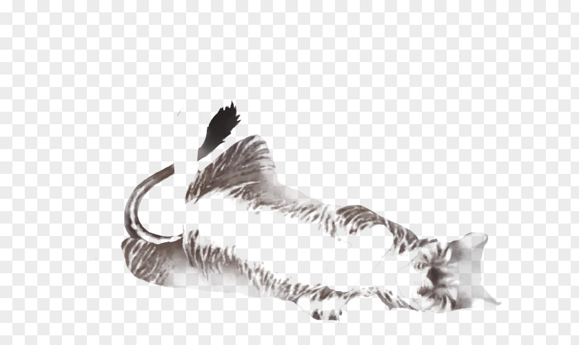 Lion Cricut Dog Cat Mammal Fur Pet PNG
