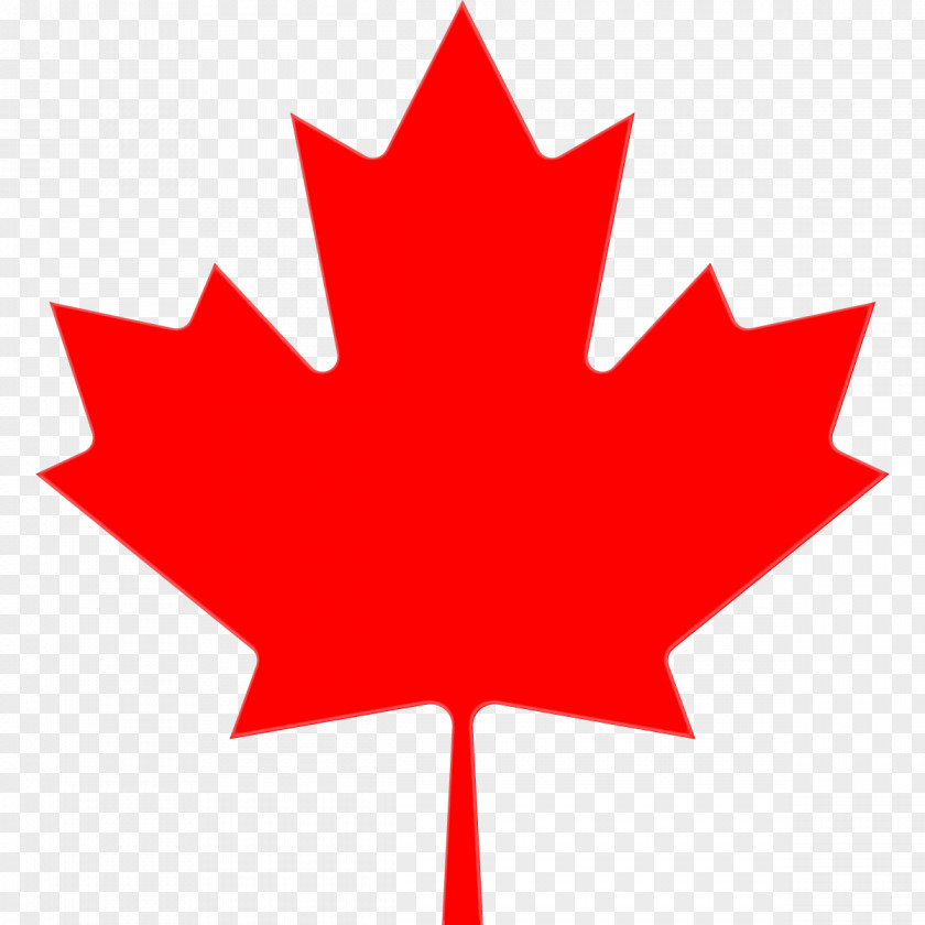 Maple Leaf Clip Art PNG