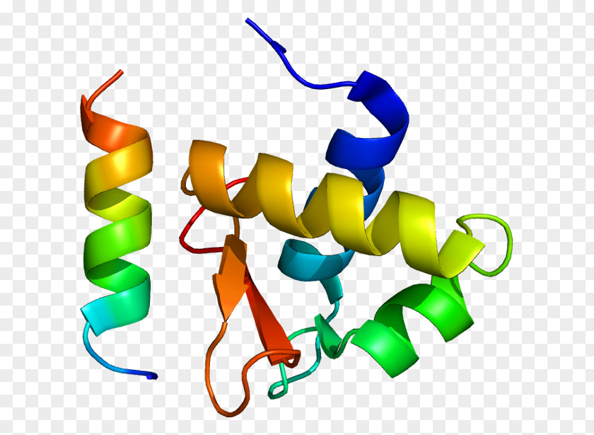 Replication Protein A2 Single-stranded Binding DNA PNG