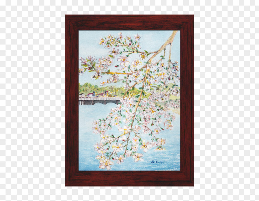 Watercolor Sky Cherry Blossom Paper Painting Zazzle PNG