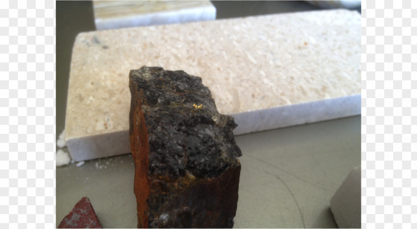 Wood Bancroft Petrified Mineral Magma PNG