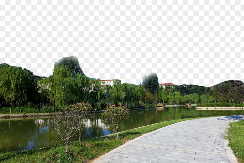 Beautiful Green City Lawn Water Resources PNG