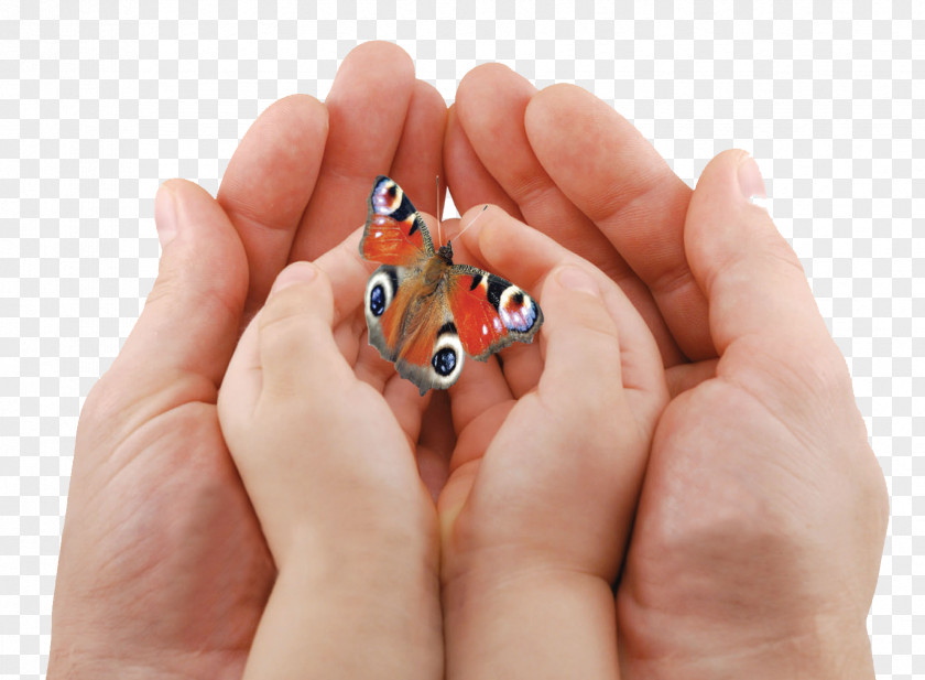 Child Custody Parent Infant Hand PNG