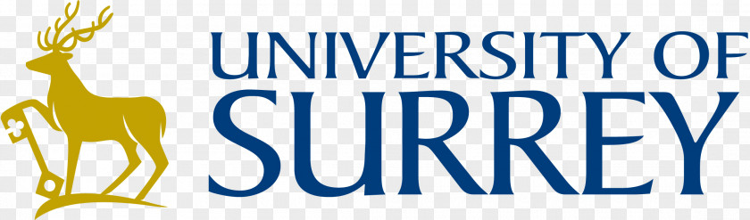 Lic Logo University Of Surrey Space Centre PNG