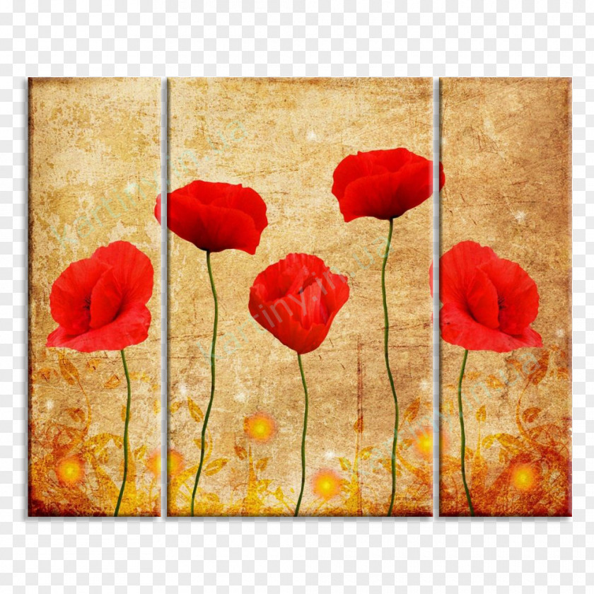 Red Poppies Mural Poppy Watercolor Painting Interieur Wallpaper PNG
