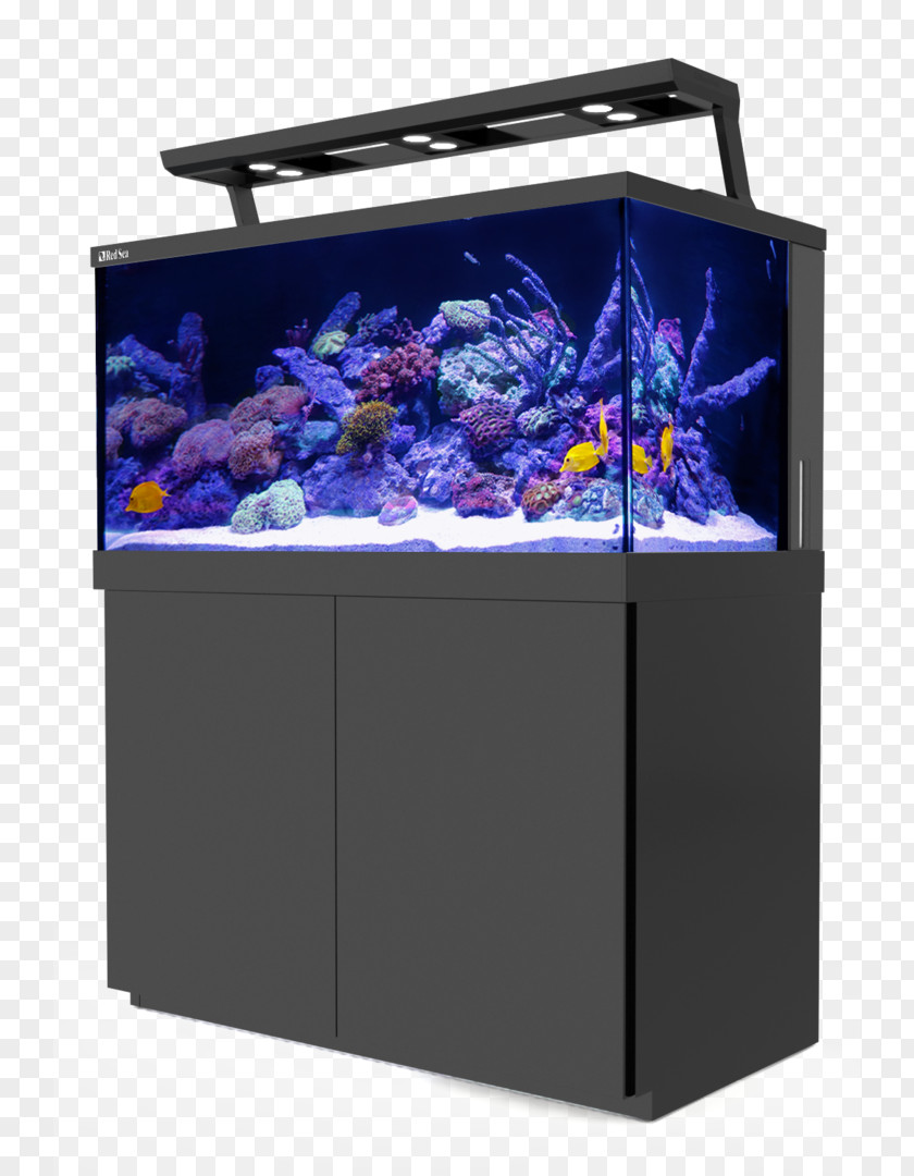 Reef-Spec BlueWhite T5 (54W)Fish Tank Stands Reef Aquarium Red Sea Spec Pink PNG
