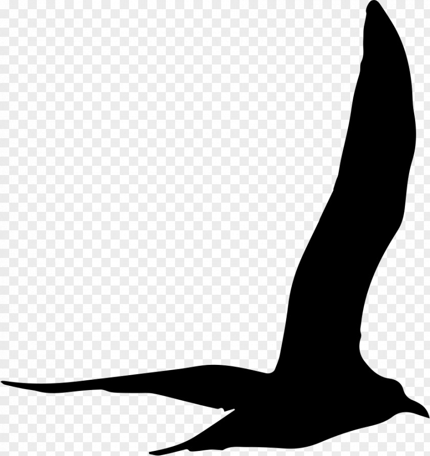 Silhouette Gulls PNG