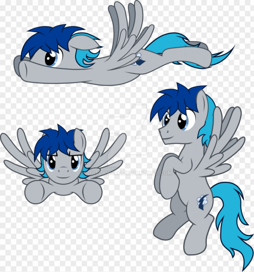 Vector Pegasus Pony Rainbow Dash Rarity PNG