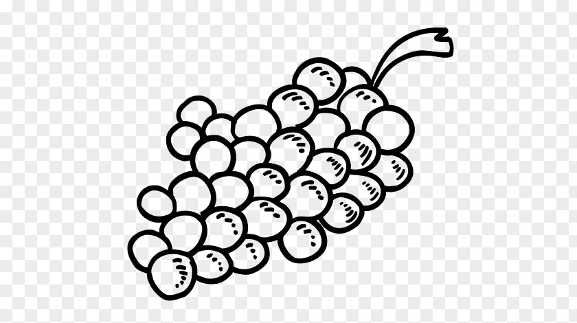 Wine Sketch Common Grape Vine Coloring Book Leaves PNG