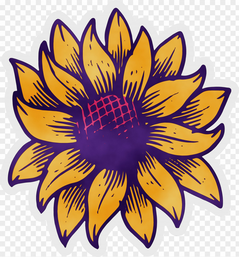 Common Sunflower Drawing Cartoon Painting PNG