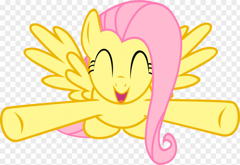 Fluttershy Rainbow Dash Pinkie Pie Rarity DeviantArt PNG