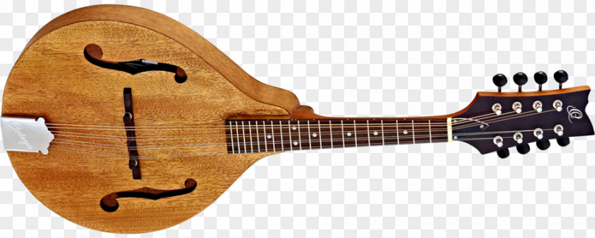 Guitar Acoustic Mandolin Electric Classical PNG
