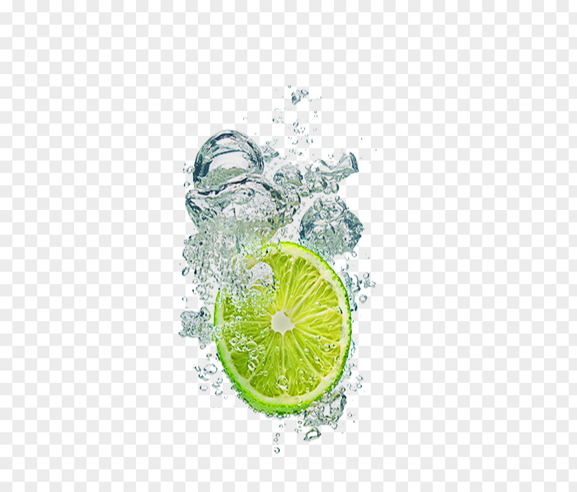 Lemon Ice Key Lime Pie Lemon-lime Drink Persian PNG