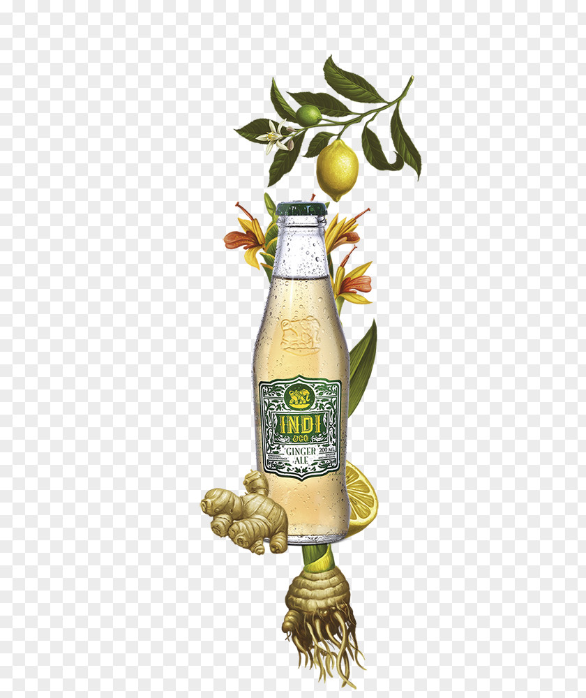 Olive Oil Tonic Water Ginger Ale Vegetable PNG