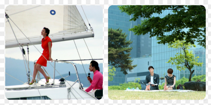 Sail Sailing Leisure Hobby Scow PNG