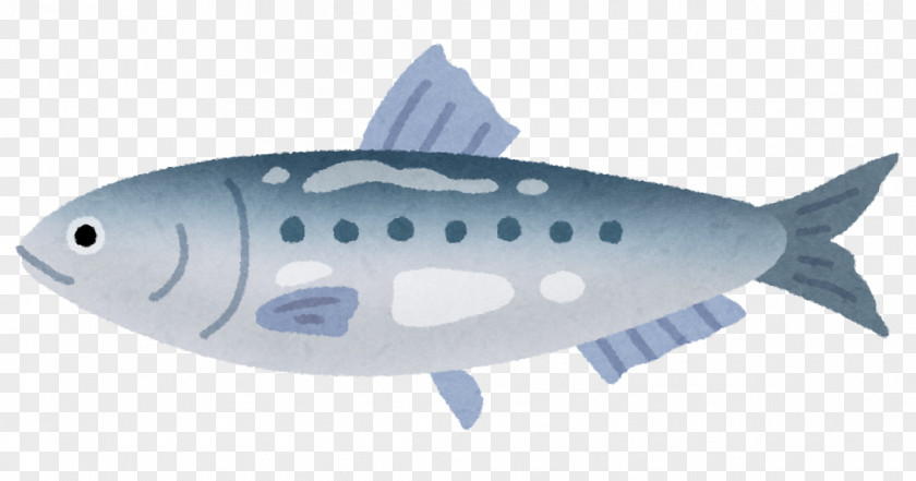 The Fish European Pilchard Whitebait Kabayaki Japanese Donburi PNG