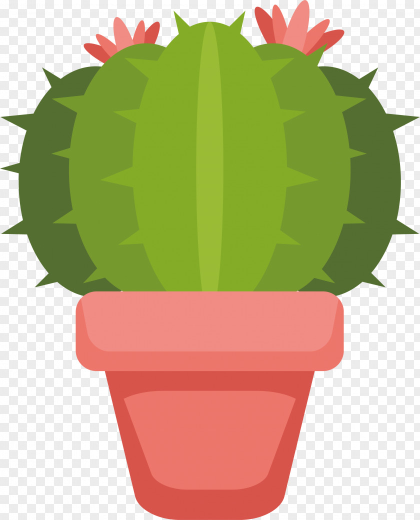 The Pink Flower Pots Of Cactus Cactaceae Peyote Euclidean Vector Flowerpot Illustration PNG