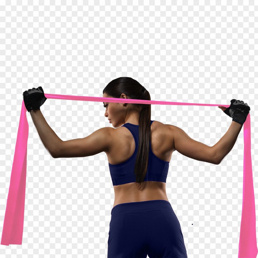 Barbell Exercise Bands Physical Fitness Strength Training Weight PNG