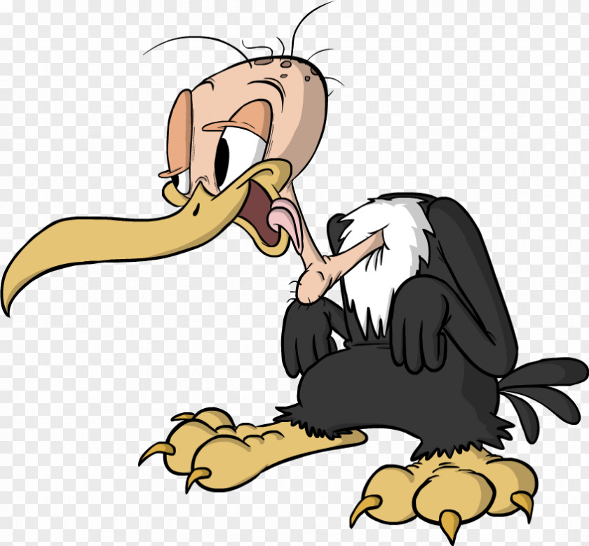 Beaky Buzzard Turkey Vulture Cartoon Looney Tunes PNG