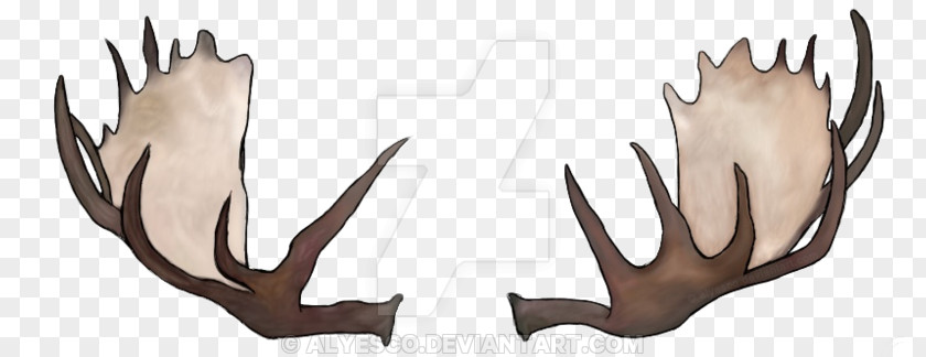 Deer Moose Antler Drawing Rudolph PNG