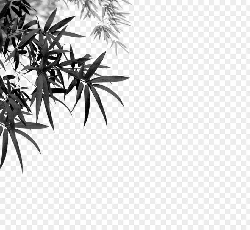 Ink Bamboo Decorative Background Mozhu Inkstick PNG