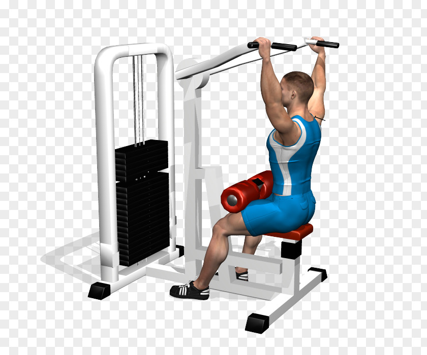 Leaf Pull Down Pulldown Exercise Shoulder Physical Fitness Latissimus Dorsi Muscle Centre PNG