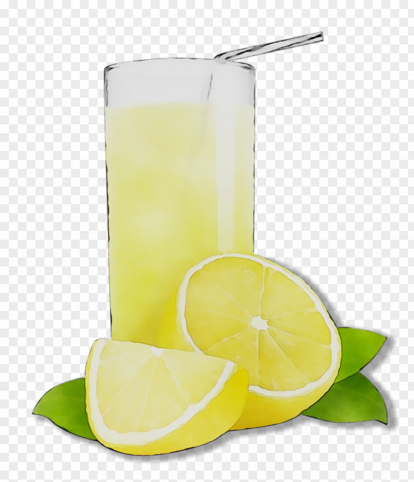 Limeade Lemon-lime Drink Limonana PNG