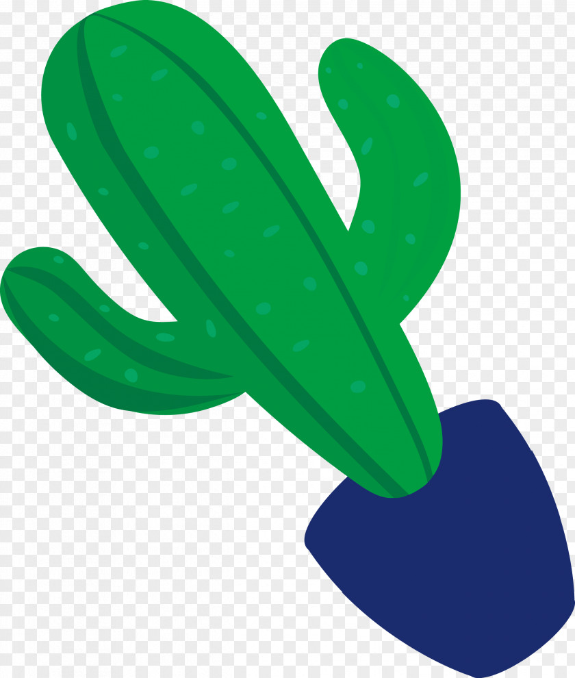 Mexico Element PNG