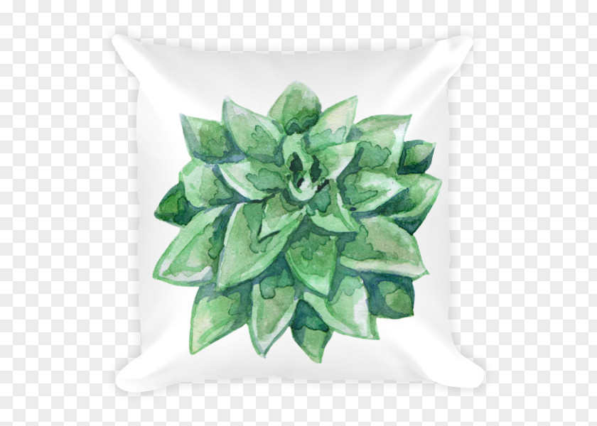 Watercolor Cactus Succulent Plant Echeveria Cactaceae Pillow PNG