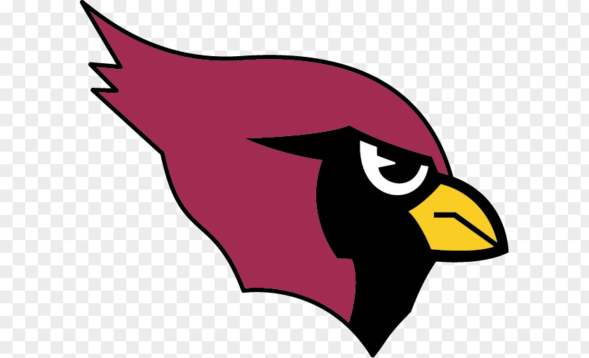 2016 Arizona Cardinals Season 1994 2005 1988 Phoenix PNG