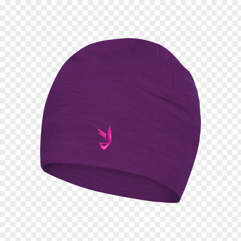 Beanie Product PNG