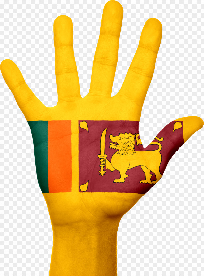 Flag Of Sri Lanka Floods National PNG