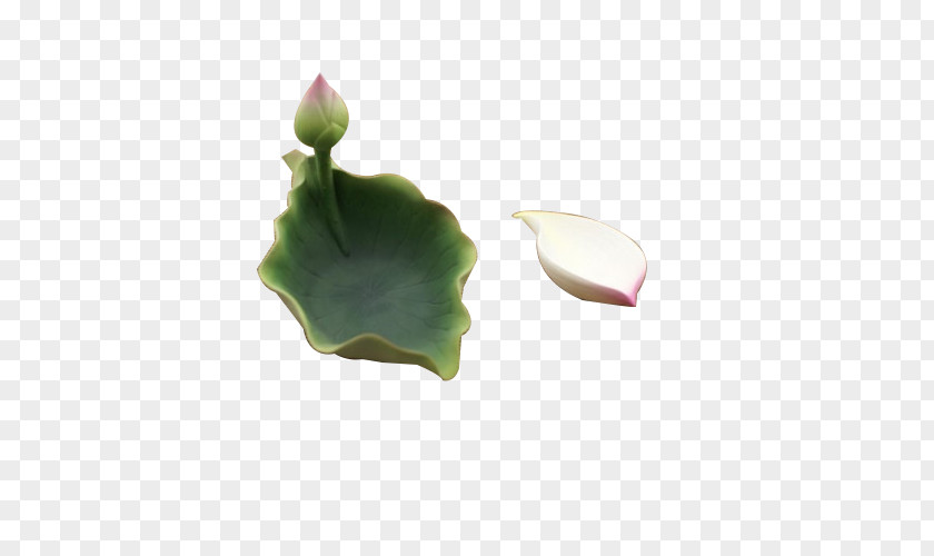 Lotus Leaf Creative Dishes Petal PNG