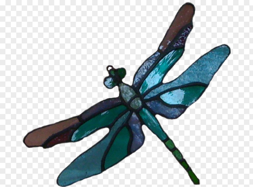 Mosaic Dragonfly Teal Insect Wing Turquoise PNG