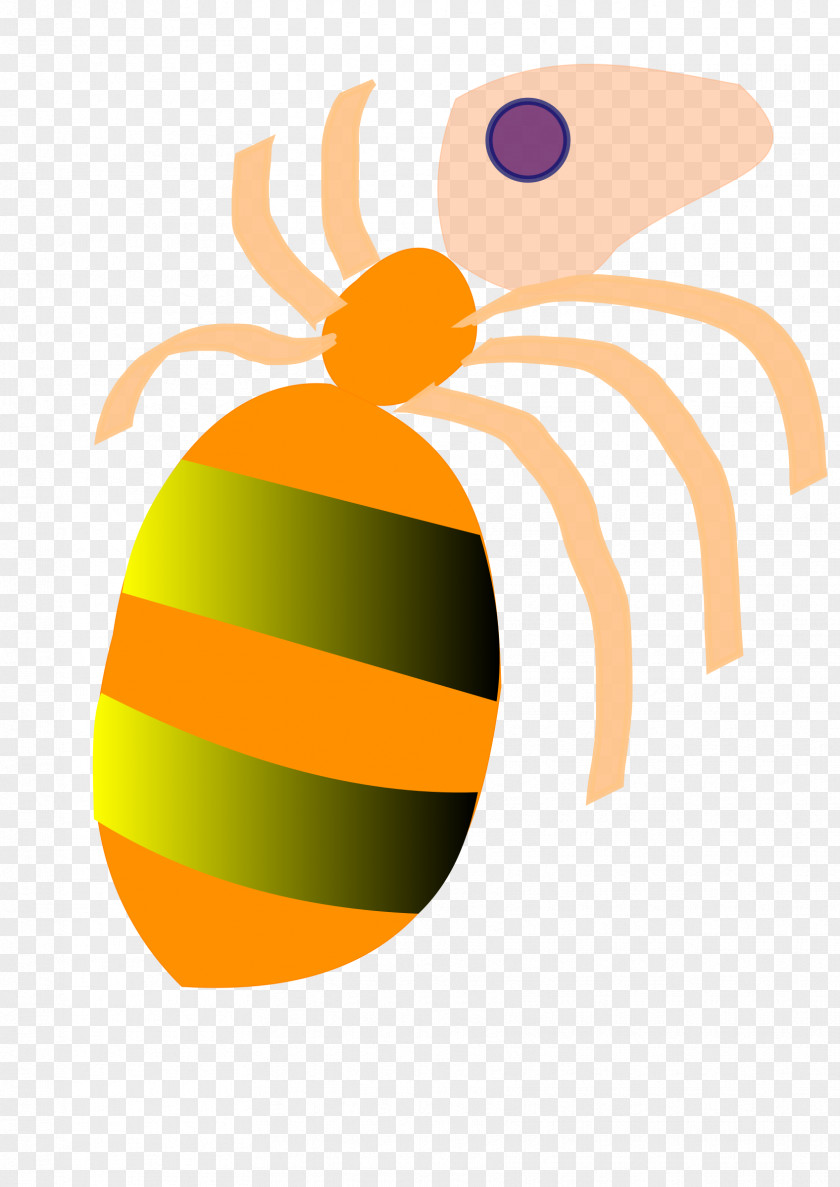 Ants Insect Ant Bee Hymenopterans Clip Art PNG