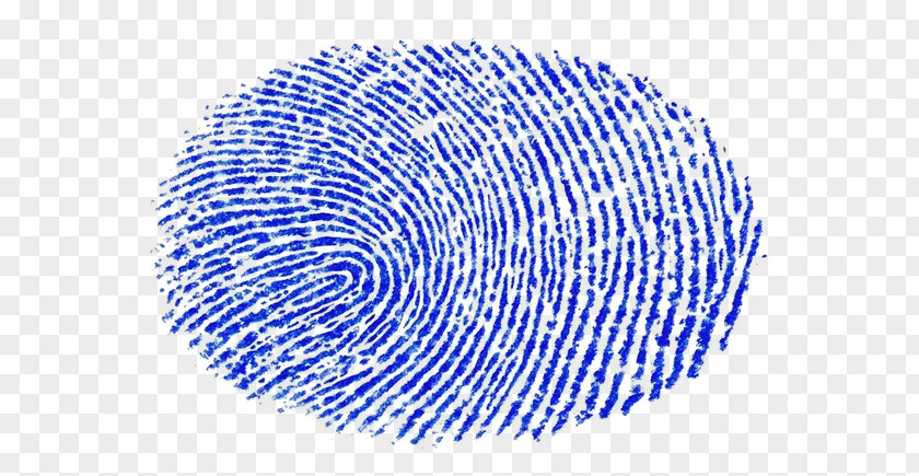 FINGER POINT Fingerprint Big Data Value Center Information Background Check PNG