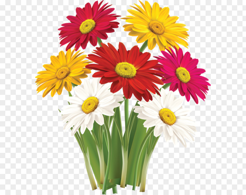 Gerbera Flower Greeting & Note Cards Clip Art PNG
