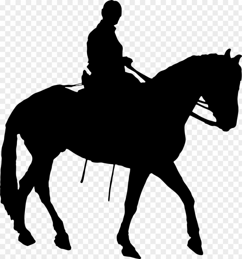 Horse Equestrian Dressage Clip Art PNG