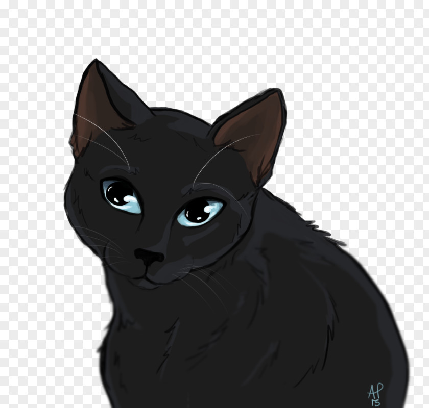 Odd-eyed Cat Bombay Korat Black Kitten Domestic Short-haired PNG