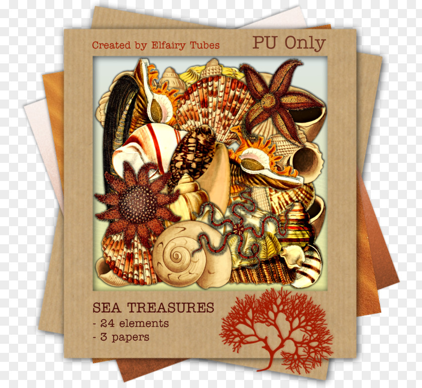 Sea Treasure Thanksgiving PNG