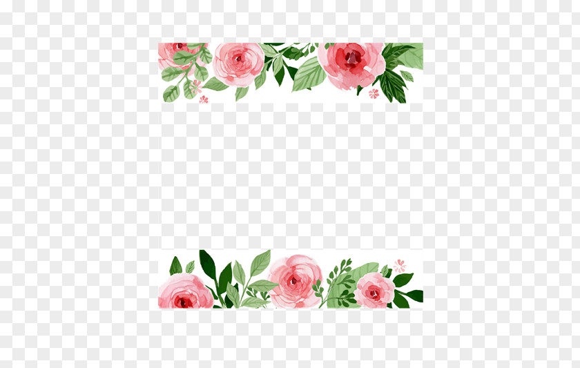 Beautiful Flowers Borders PNG flowers borders clipart PNG